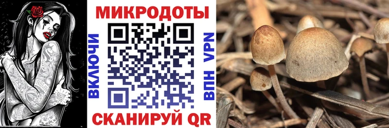Псилоцибиновые грибы MAGIC MUSHROOMS  Арсеньев 