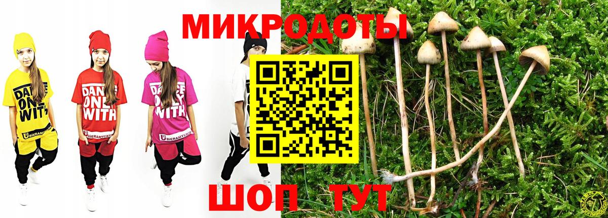 Псилоцибиновые грибы мицелий Арсеньев