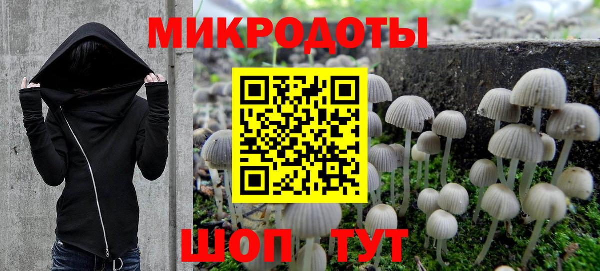 Псилоцибиновые грибы Psilocybine cubensis  где купить   Арсеньев  Вход с VPN  Псилоцибиновые грибы мухоморы 